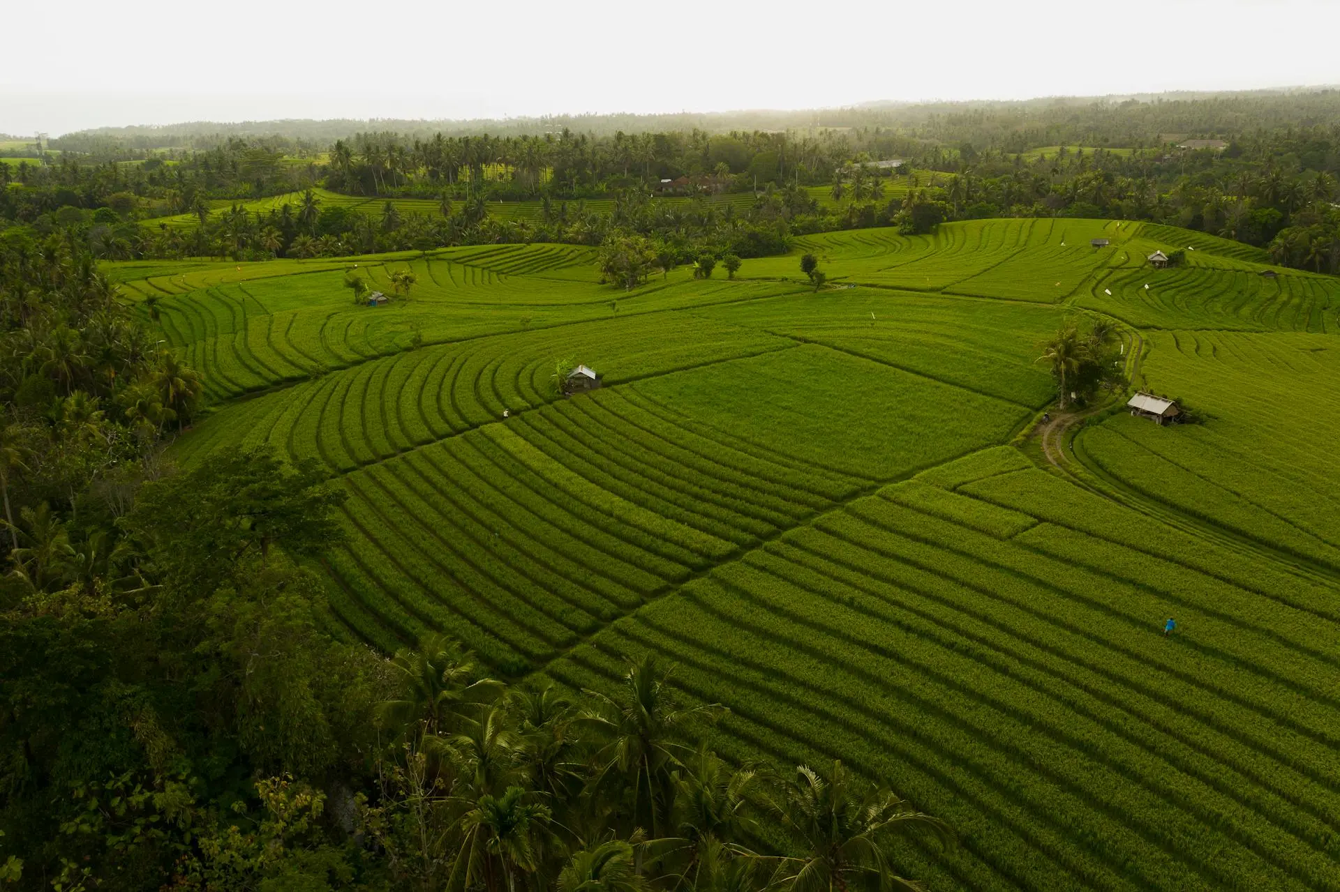 Contact Property Plaza